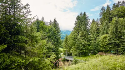 8-Zimmer-Immobilie kaufen in Kitzbühel – 322,7 m², € 4.190.000 – Bild 13 von 13