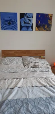 Immobilie mieten in Bruck an der Leitha – 65 m², € 907 – Bild 7 von 7