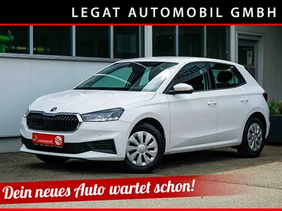 Skoda Fabia Ambition *LED*SITZHEIZUNG*PDC*