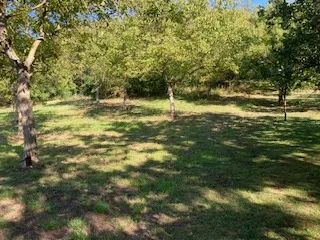 Immobilie mieten in Korneuburg – 1 500 m², € 60 – Bild 4 von 6