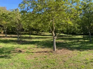 Immobilie mieten in Korneuburg – 1 500 m², € 60 – Bild 2 von 6