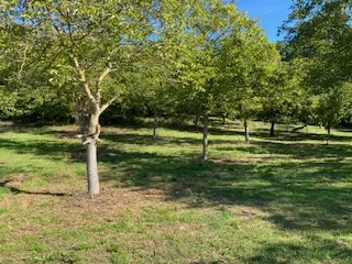 Immobilie mieten in Korneuburg – 1 500 m², € 60 – Bild 1 von 6
