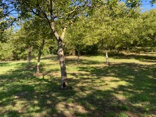 Immobilie mieten in Korneuburg – 1 500 m², € 60 – Bild 5 von 6