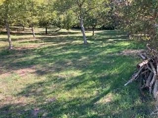Immobilie mieten in Korneuburg – 1 500 m², € 60 – Bild 6 von 6