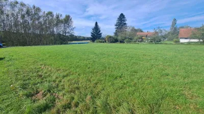 Grundstück zum Kauf in 8345 Südoststeiermark