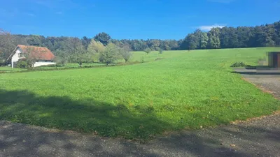 Grundstück kaufen in Südoststeiermark – 1 009 m², € 53.000 – Bild 3 von 7