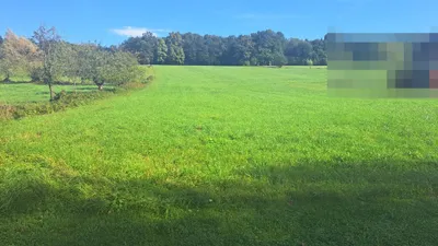 Grundstück kaufen in Südoststeiermark – 1 009 m², € 53.000 – Bild 4 von 7