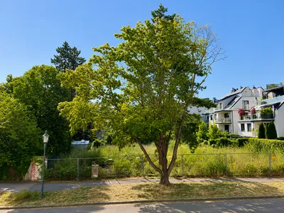 1-Zimmer-Wohnung kaufen in Wien – 46 m², € 319.000 – Bild 14 von 15