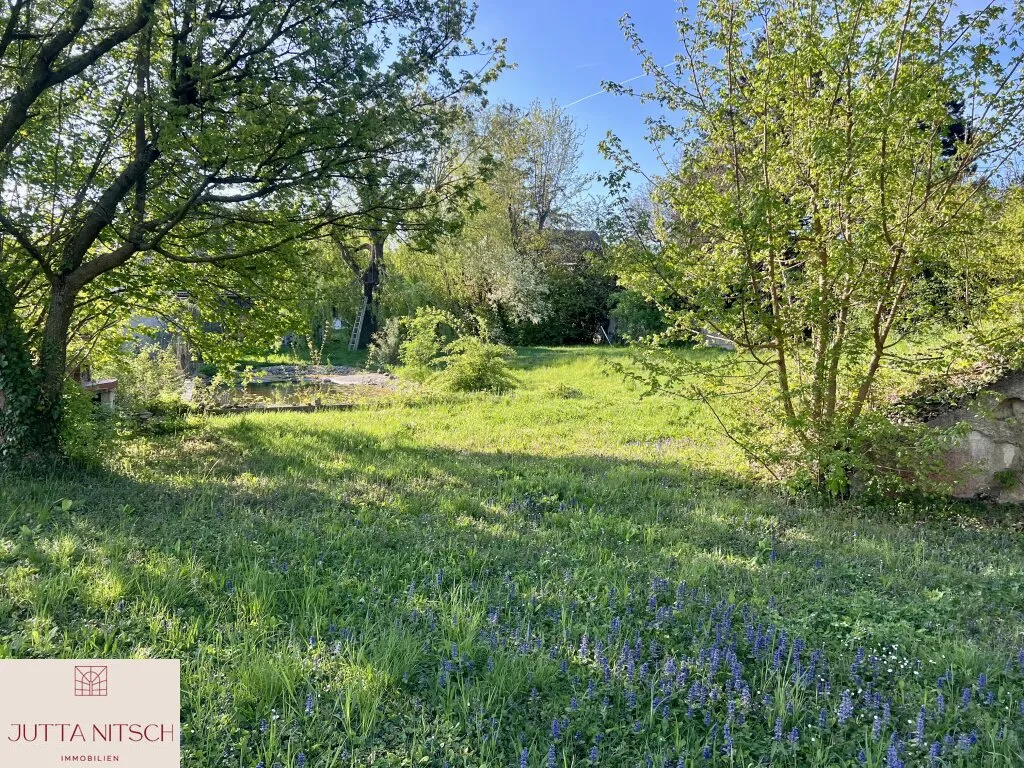 Wohntraum in Baden - teilbare Liegenschaft mit einem großen Naturgarten und Schwimmteich - Widok 3