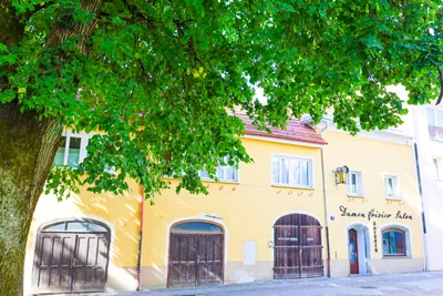 2-Zimmer-Gewerbeimmobilie mieten in Sankt Veit an der Glan – 55 m², € 470 – Bild 3 von 13