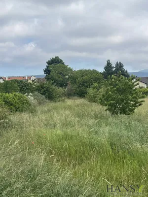 Grundstück kaufen in Baden – 2 059 m², € 1.145.000 – Bild 8 von 12