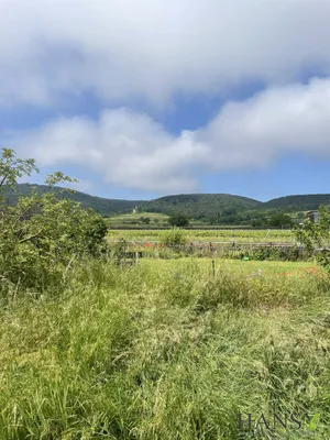 Grundstück kaufen in Baden – 2 059 m², € 1.145.000 – Bild 2 von 12