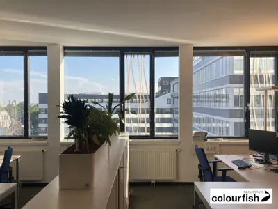 Gewerbeimmobilie mieten in Wien – 663 m²
