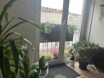 1-Zimmer-Wohnung mieten in Wien – 65 m², € 550 – Bild 3 von 4