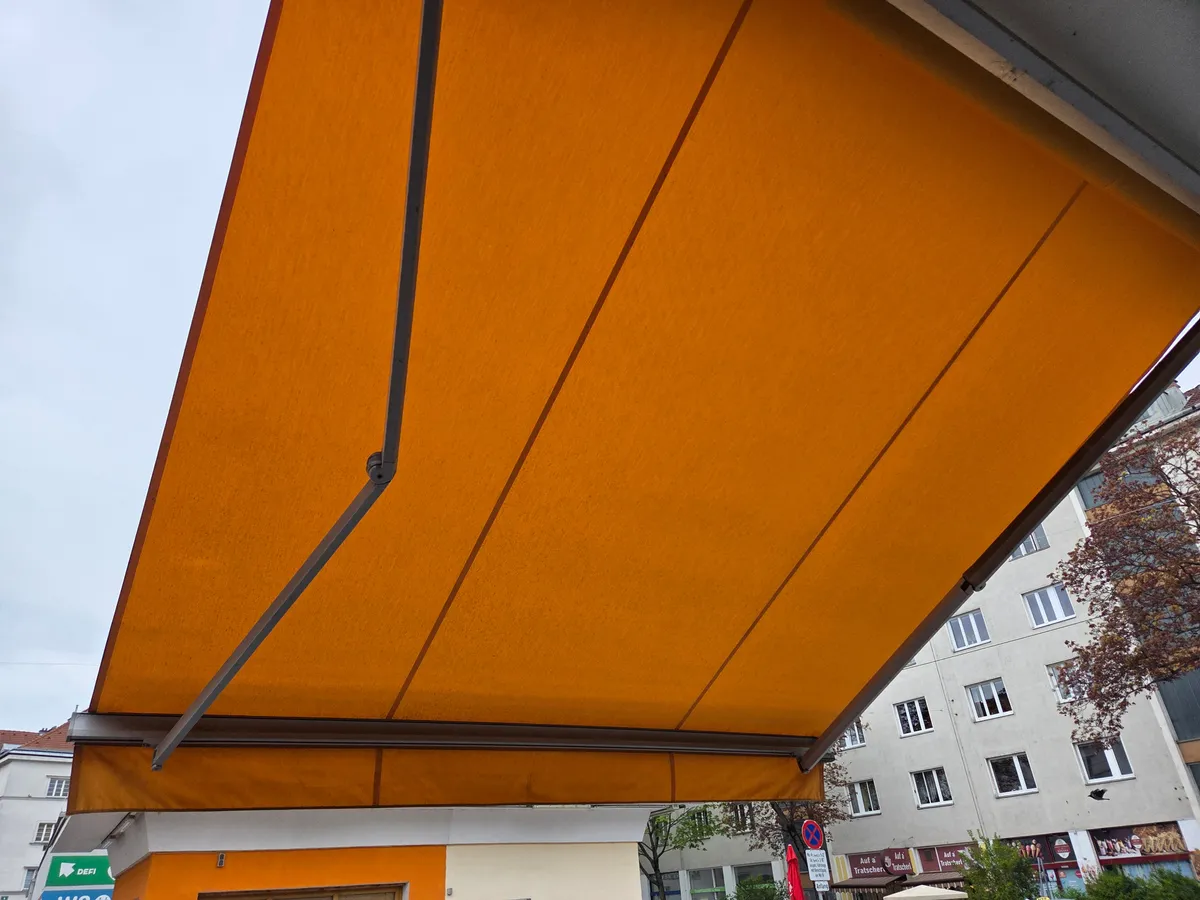 tunnelzelt leicht Outsunny Campingzelt für 2 Personen, Stabil Wasserdicht UV 50+ FATHERSDAY Color:Green Fronds Yachticon Markisenreiniger, 1L bei