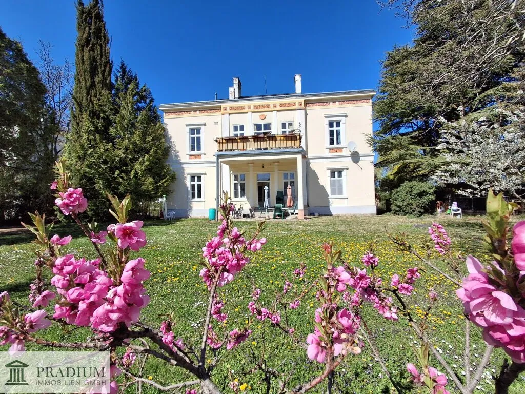 Frühlingserwachen in Bad Vöslauer Villa - Ansicht 2