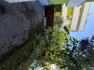 6-Zimmer-Wohnung kaufen in Linz – 164 m² – Bild 18 von 22