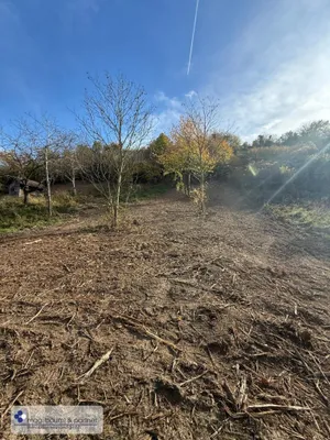 Immobilie kaufen in Tulln – 1 700 m², € 59.000 – Bild 4 von 5