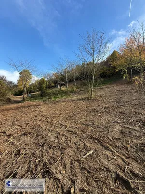 Immobilie kaufen in Tulln – 1 700 m², € 59.000 – Bild 5 von 5