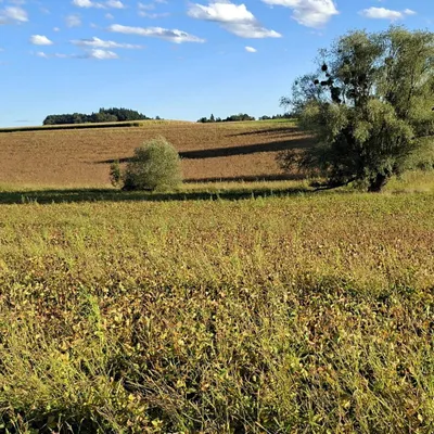 Immobilie kaufen in Wels-Land – 184 m², € 388.000 – Bild 38 von 44