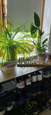 4-Zimmer-Wohnung mieten in Scheibbs – 130 m², € 360 – Bild 17 von 48