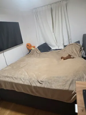 2-Zimmer-Wohnung mieten in Graz-Umgebung – 80 m², € 1.040 – Bild 7 von 18