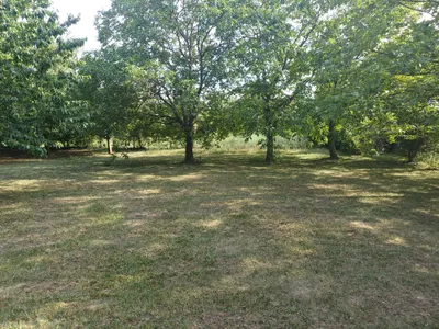 Immobilie mieten in Eisenstadt - Umgebung – 1 370 m², € 2.100 – Bild 17 von 30