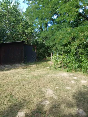 Immobilie mieten in Eisenstadt - Umgebung – 1 370 m², € 2.100 – Bild 10 von 30