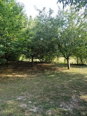Immobilie mieten in Eisenstadt - Umgebung – 1 370 m², € 2.100 – Bild 16 von 30
