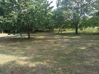 Immobilie mieten in Eisenstadt - Umgebung – 1 370 m², € 2.100 – Bild 18 von 30