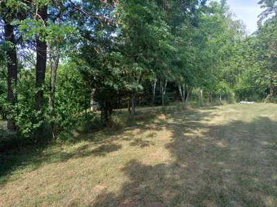 Immobilie mieten in Eisenstadt - Umgebung – 1 370 m², € 2.100 – Bild 3 von 30