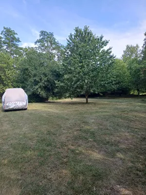 Immobilie mieten in Eisenstadt - Umgebung – 1 370 m², € 2.100 – Bild 5 von 30