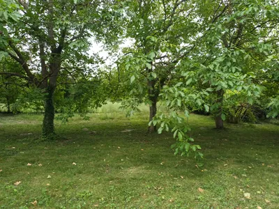 Immobilie mieten in Eisenstadt - Umgebung – 1 370 m², € 2.100 – Bild 20 von 30