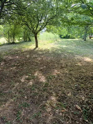 Immobilie mieten in Eisenstadt - Umgebung – 1 370 m², € 2.100 – Bild 14 von 30