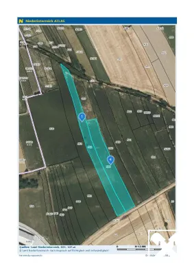 Grundstück kaufen in Sankt Pölten Land – 6 000 m², € 90.000 – Bild 3 von 5