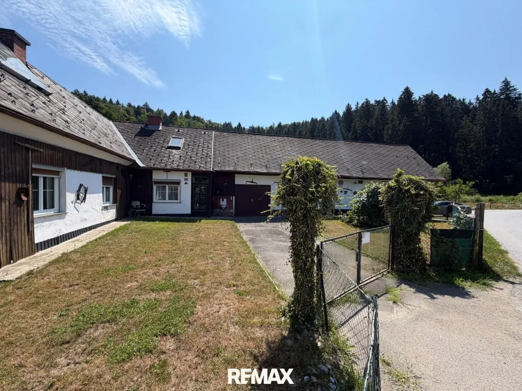 Kleinlandwirtschaft - Pferdehaltung, Tierhaltung in Nestelbach bei Graz - Ansicht 3