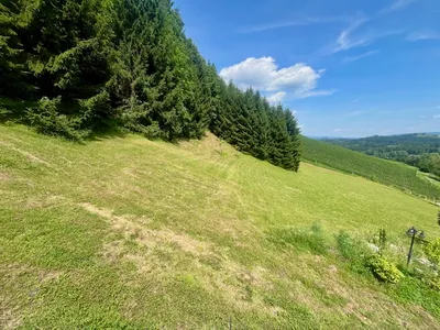 4-Zimmer-Haus kaufen in Deutschlandsberg – 125 m² – Bild 11 von 31