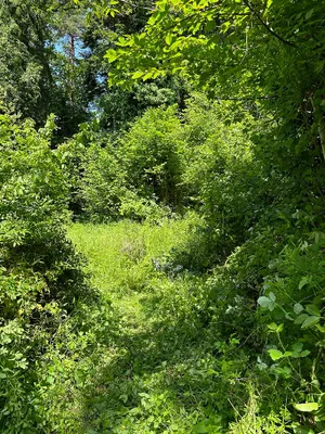 Grundstück kaufen in Graz – 4 100 m², € 370.000 – Bild 5 von 30