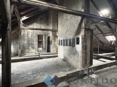 Immobilie kaufen in Wien – 569 m², € 700.000 – Bild 13 von 19