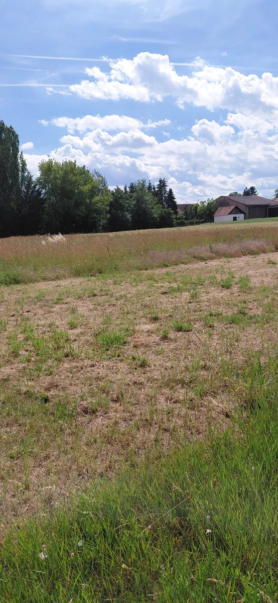 Betriebsgrundstück in Guntersdorfer Betriebsgebiet - Ansicht 2