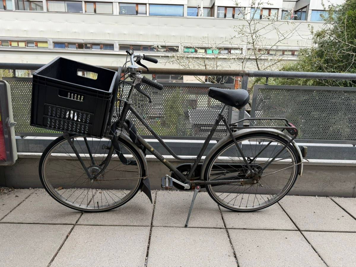 Vintage Gazelle Hollandrad,  110,- (5020 Salzburg) - willhaben
