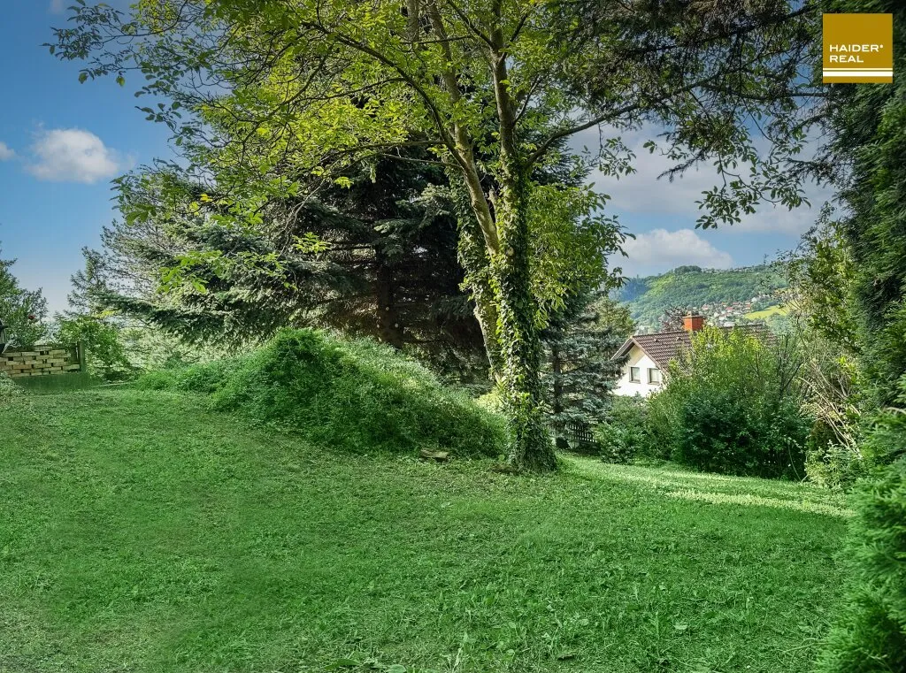 ERFÜLLT ALLES! Ideale Größe, Fernsicht, mittlere Hanglage, Süd-Ausrichtung - Ansicht 3