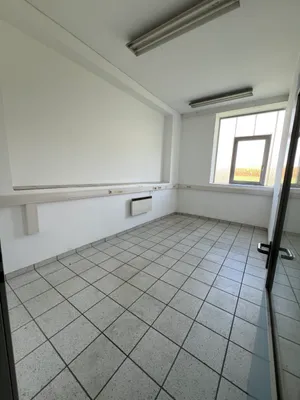 Gewerbeimmobilie mieten in Ried im Innkreis – 250 m², € 1.689 – Bild 3 von 6