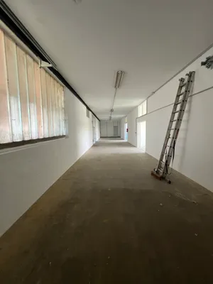 Gewerbeimmobilie mieten in Ried im Innkreis – 250 m², € 1.689 – Bild 6 von 6