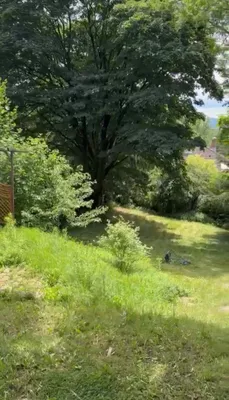 Grundstück kaufen in Tulln – 1 003 m², € 560.000 – Bild 2 von 7