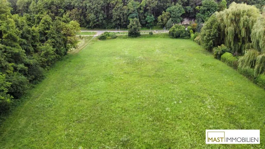 Nationalpark Neusiedler See - Beeindruckendes Grundstück mit ca. 5.825 m² in Top Lage / Randlage - Ansicht 3