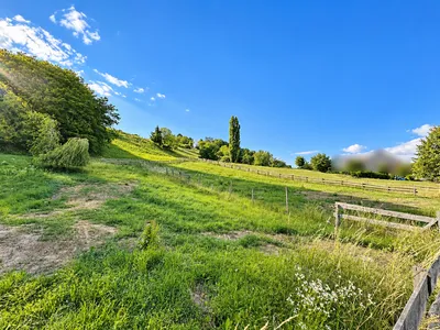 Grundstück kaufen in Südoststeiermark – 1 041 m², € 59.900 – Bild 3 von 3