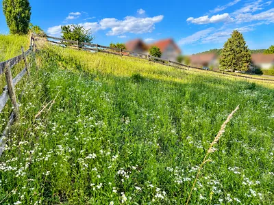Grundstück kaufen in Südoststeiermark – 1 041 m², € 59.900