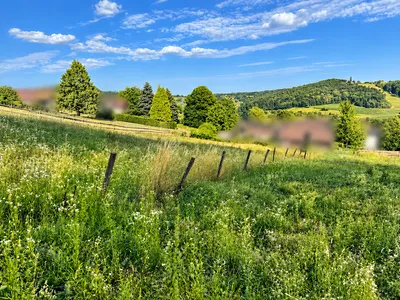 Grundstück kaufen in Südoststeiermark – 1 041 m², € 59.900 – Bild 2 von 3