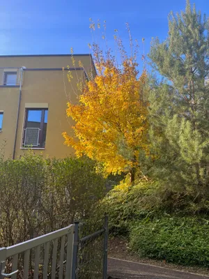 3-Zimmer-Wohnung mieten in Linz – 83 m², € 1.745 – Bild 7 von 17